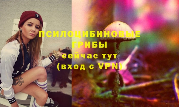 дмт Алексин