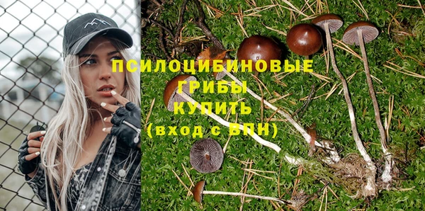 герыч Алзамай