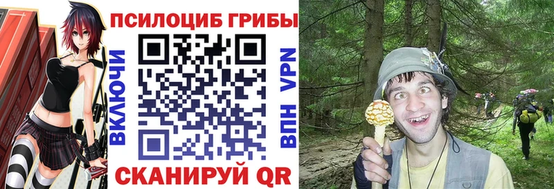 закладки  Безенчук  Галлюциногенные грибы Psilocybe 